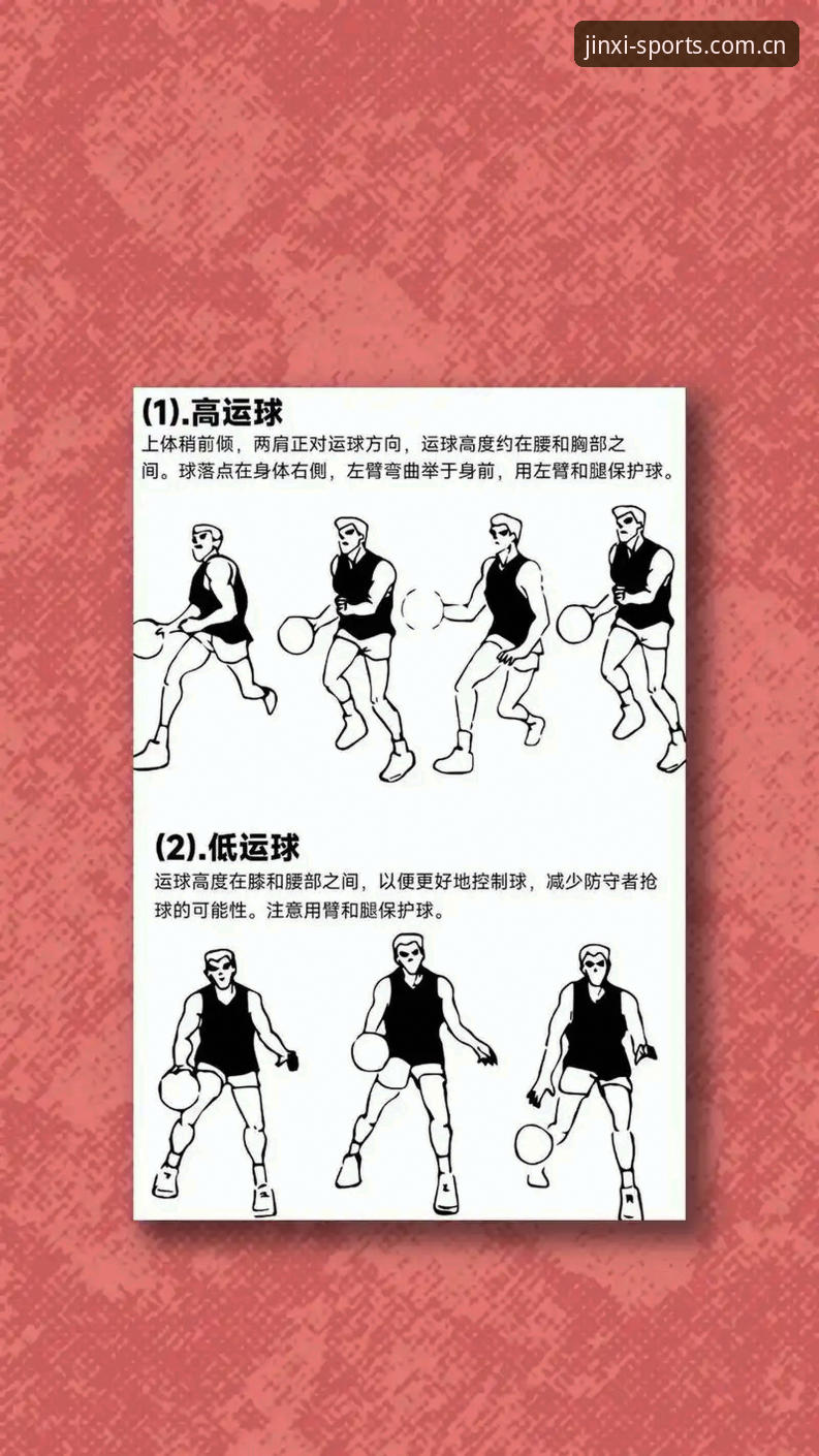 资深用户手把手教你玩转金喜体育官网教程——2026新版实战经验分享